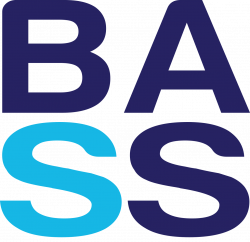 BASS Amazing Race — beediebass