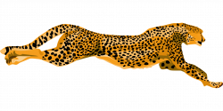 Cheetah Clip art - rápido 1920*960 transparente Png Descargar Gratis ...