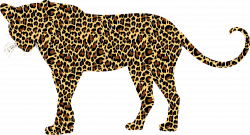 Leopard | 104 Wallpapers
