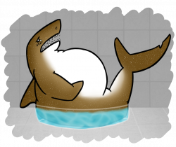 28+ Collection of Fat Shark Drawing | High quality, free cliparts ...
