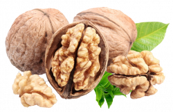 English walnut Omega-3 fatty acid Calorie Almond - walnut 1024*663 ...