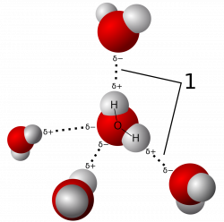 Hydrogen bond - Wikipedia