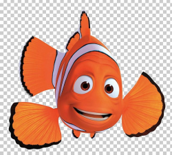 Finding Nemo Marlin Pixar Actor PNG, Clipart, Actor, Albert ...