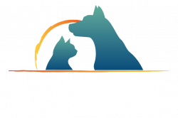 Nail Trims — Chicagoland Veterinary Behavior Consultants