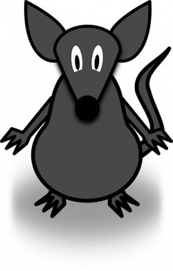 As timid as a mouse 胆小如鼠| Chinese Idioms | Chengyu | Chinese ...