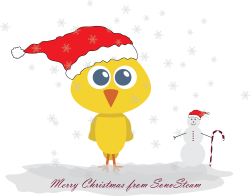 Merry Christmas - SonoSteam
