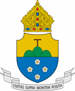Roman Catholic Diocese of Cubao - Wikipedia
