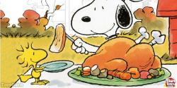 Free Snoopy Thanksgiving Cliparts, Download Free Clip Art ...