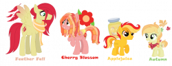 HNG: Feather, Cherry, Juice, and Autumn Ref/Bio by Andy-Hazards on ...