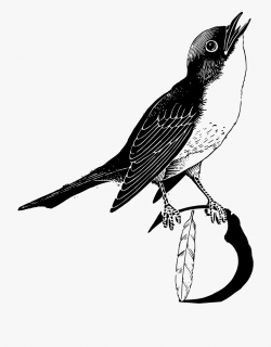 Feather Png Transparent - Bird Feathers Clip Art #888191 ...