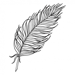 Monochrome black and white bird feather vector sketched art ...