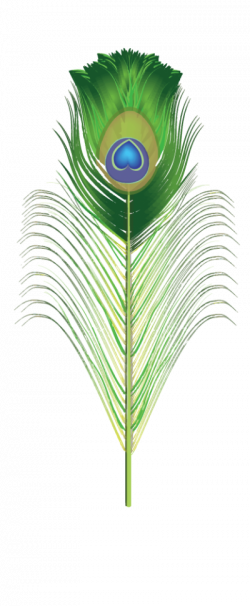 Download PEACOCK FEATHER Free PNG transparent image and clipart