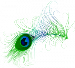 Peacock Feather PNG Clip Art Image | Arte y dibujos | Pinterest ...