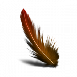 Feather | Free Images at Clker.com - vector clip art online, royalty ...