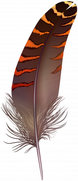 Brown Feather PNG Clip Art | Gallery Yopriceville - High ...