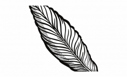 Feather Clipart Bunch - Clip Art Transparent Feather ...
