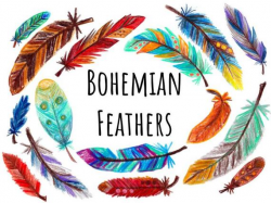 Hand Drawn Feather Clip Art, feather clipart with color, colored pencil  clipart, PNG format hand drawn graphics, print decorative clip art