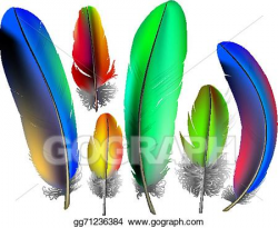 Vector Illustration - Colored feathers. EPS Clipart ...