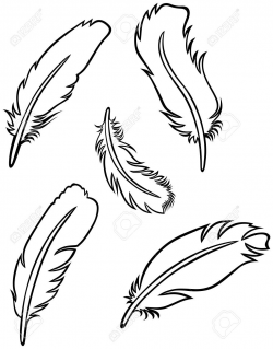 easy feather drawings - Google Search | Bike Paint Jobs ...