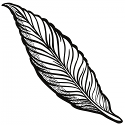 Simple Feather Drawing | Free download best Simple Feather ...