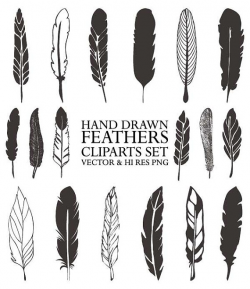 Hand Drawn Feather Clipart - Vector Rustic Feather Drawing ...