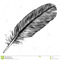 raven feather drawing - Google Search | Tattoos in 2019 ...