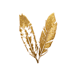 28+ Collection of Gold Feather Drawing | High quality, free cliparts ...