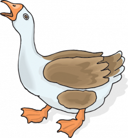 Goose Transparent PNG Pictures - Free Icons and PNG Backgrounds