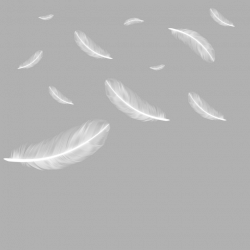 Floating Falling Feather, Feather, Feathers, Feathers Falling PNG ...