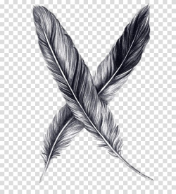 Two gray-and-black feather illustration, Feathers Drawing ...