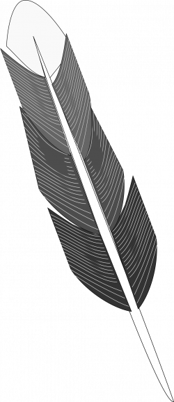 Clipart - Grayscale Feather