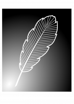 Clipart - feather