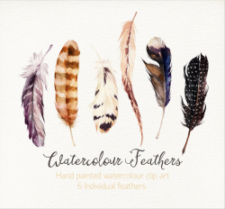 Watercolour Feathers /Hand painted watercolour clip art ...