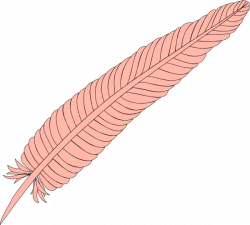 Feather Clip Art at Clker.com - vector clip art online, royalty free ...