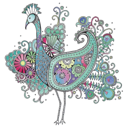 Bird Peafowl Drawing Doodle Pattern - peacock 1000*1000 transprent ...