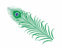 Peacock Feather Clipart Free Stock Photo - Public Domain ...
