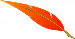 Orange feather clipart, explore pictures