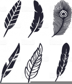 Turkey Feather Clipart | Free Images at Clker.com - vector ...