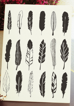 Hand Drawn Feather Clipart - Vector Rustic Feather Drawing ...