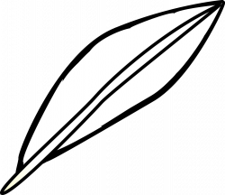 Feather Bird Lightweight Simple PNG Image - Picpng