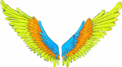 wings asas tumblr - Sticker by adrianapaixao80