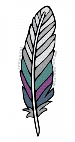 Pigeon Feather - Sticker Pack