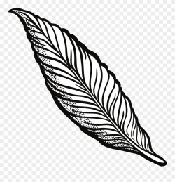 Clipart Feather Lineart 45 Anniversary Clip Art Free ...