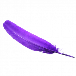 Feather HD PNG Transparent Feather HD.PNG Images. | PlusPNG