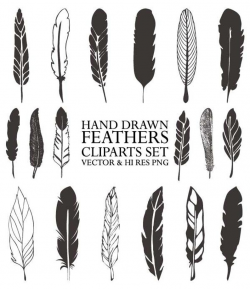 Hand Drawn Feather Clipart - Vector Rustic Feather Drawing Clipart Clip Art  PNG & Vector EPS, AI Design Elements Digital Instant Download