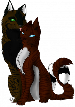 Warrior cats RP: Darkfeather and Hawkstar by Dejavuza on DeviantArt