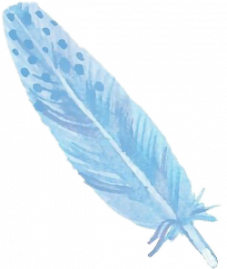 blue feather watercolor FreeToEdit...