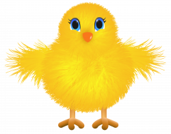 Cute Yellow Chicken Transparent PNG Clip Art Image | Gallery ...