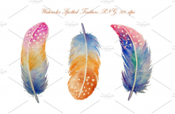 Watercolor Spotted Feathers Clipart ~ Illustrations ~ Creative Market