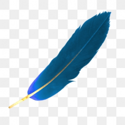 Free Download | Bird Feather Feather Falling Material Blue ...